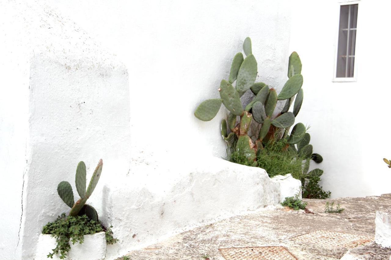 Monolocale Ilporticciolovacanze Villanova di Ostuni Εξωτερικό φωτογραφία
